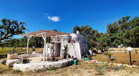 For sale is a beautiful lamia with barrel vault in the countryside of Carovigno, located a short distance from the sea and the town centre. The property consists of the main body or 'lamia', which is in good structural condition and consists of a sin...