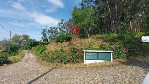 Land in Telões - Amarante, het land heeft twee fronten die de toegang via het trottoir confronteren, op 50 meter van de nationale weg die Telões met Gatão verbindt, met toegang tot openbaar water, een prachtig uitzicht, een uitstekende deal voor dieg...