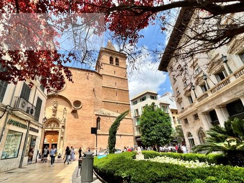 This apartment, located in the heart of Palma de Mallorca's historic old town, offers exceptional views from the communal terrace, including the harbor, cathedral, and Bellver Castle. While it has been used as an office, this space can easily be reno...