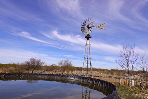 Deze veeboerderij van 16.291 hectare (40.239 hectare) is volledig operationeel - voeg gewoon vee toe! Gedeeltelijke eigendomsfinanciering beschikbaar, 50% naar beneden, het saldo betaald binnen 1 jaar Radiotoren Bodem met veel organisch materiaal Nat...