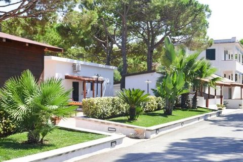 Holiday complex with apartments, bungalows and a camping site in the middle of a large pine forest in the immediate vicinity of the beach in the seaside resort of Lido del Sole on the Gargano coast. The ideal location offers numerous recommended excu...