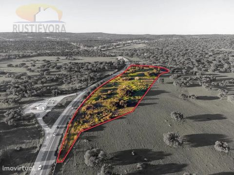 Farm with Feasibility of Construction, Near Évora. Property with a lot of housing in ruins, situated on a high point, with excellent panoramic views. Direct access to the national road, fenced, mature trees, namely holm oaks and cork oaks. It has a g...