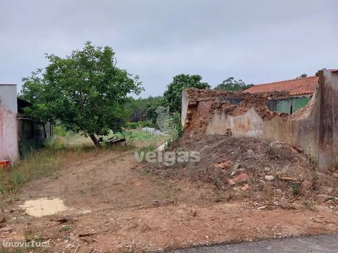 Land with 1.442m2 with old cellar in poor condition. Rectangular and completely flat property, with water well, nespereira and walnut. It is located in a small rural village, in a tarred street with passage only of residents and farmers. ------------...