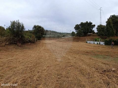 Land with almost 8,000 m2 of total area , allowing the construction of a single-family house with one more floor, with excellent areas, with plenty of surrounding space.   It confronts about 75 m with a perfectly passable municipal road and another i...