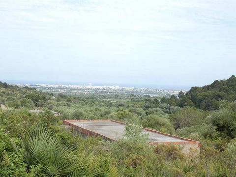 Total surface area 120000 m², rural property plot area 120000 m², accessibility.