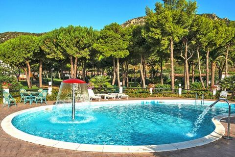 Directly on the crystalline sea of the fine sandy beach of Campus, near Villasimius, one of the most beautiful places in Sardinia, there is this tourist complex with 120 residential units and an excellent restaurant. There is no limit to the variety ...