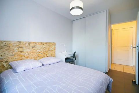 photo no. 11