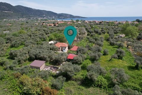 Property Code. 11221 - Plot FOR SALE in Thasos Potamia for €245.000 . Discover the features of this 4600 sq. m. Plot: Distance from sea 900 meters, it comes width a building, clean drinking water, electricity On the plot there is a stone house of 54 ...