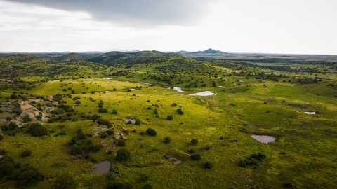 The hidden jewel of the Southwest! The C Bar Ranch, consisting of +/-6,386 deeded acres and +/-1,710 acres of NM State lease totaling +/- 8,096 acres, presents a unique opportunity to own one of the most spectacular ranches available on the market to...