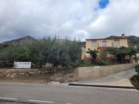 This south facing detached villa is located on a plot of 1,437.18 square meters, with fruit trees, olive trees, space for orchard, corral of almost 10 meters for animals and a warehouse / garage of 75 square meters. It consists of two floors with a t...