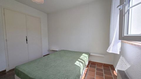 photo no. 7