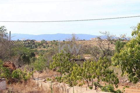 VRIJSTAANDE RUÏNE, GELEGEN OP EEN PERCEEL VAN 15 300 m2, TINHOSAS, SILVES De ruïne ligt op het hoogste deel van het land, met uitzicht op de Serra de Monchique Voor wie rust, kalmte en een ontspannen buitenleven op prijs stelt. Locatie op het plattel...