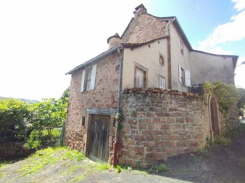 Ontdek deze pastorie van steen en leisteen, afkomstig uit het oude bolwerk van het gehucht, daterend uit de 14e eeuw, gelegen in de stad Saint-Christophe, op 15 minuten van Decazeville en op 30 minuten van Rodez. Op 295 m² grond vindt u ruim 170 m² w...