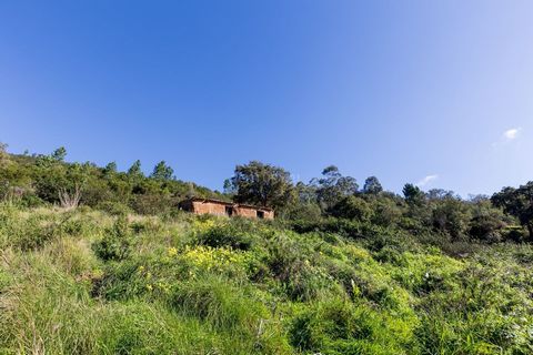 NOW EVEN EASIER TO BE YOURS! Excellent investment! This treasure has a borehole for collecting water and a ruin set in a generous area of more than 13,000 m², with a privileged location and a south/south-west facing solar orientation that guarantees ...