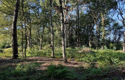 Superb building plot on the edge of a forest. Close to the town of Seignosse, in the heart of a small hamlet of 3 plots, discover this superb building plot of 1040 m2. The flat, serviced plot will enable you to build a 210 m2 villa on 2 levels, exclu...