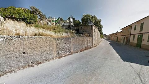 ~Un terrain est à vendre dans la pittoresque ville majorquine de Sant Joan, située au centre de l'île. Anciennement connue sous le nom de San Juan de Sinéu dans la région de Llano à Majorque, cette charmante ville offre une opportunité unique aux inv...