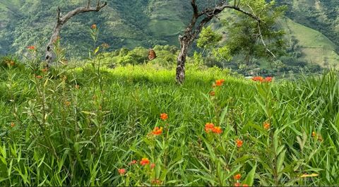  Descubre un rincón de tranquilidad en la Vereda San Miguel, Ciudad Bolívar. Te presentamos una Parcelación Exclusiva con Lotes disponibles para ti. Lote con un área de 3341m2 Lo que Ofrecemos Naturaleza en su Esplendor: Disfruta de más de 20 hectáre...