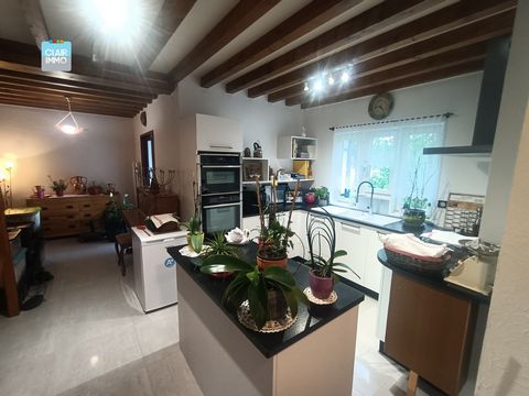 photo no. 5