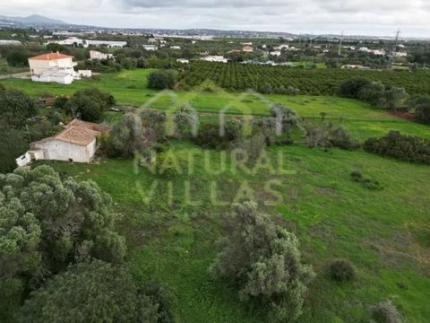 Investitionsmöglichkeit in Faro! Grundstück mit Ruine, am Eingang der Stadt Faro, mit Privatsphäre und perfekter Sonnenausrichtung. Erstklassige Lage, wie es in Mata Lobos ist, nur wenige Minuten von der Stadt Faro, dem Flughafen und den Stränden ent...