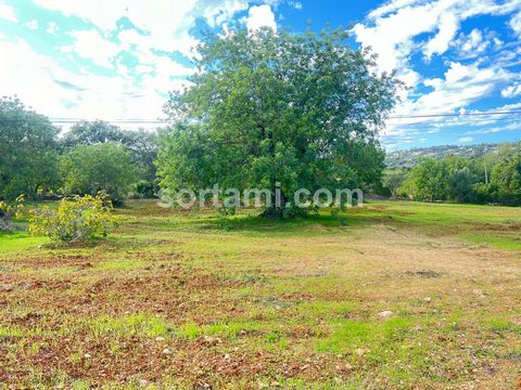 Terreno en venta en Bordeira – Algarve. Le presentamos un terreno situado en la encantadora ciudad de Bordeira, en el Algarve, con una superficie total de 977 metros cuadrados. Este terreno ofrece una excelente oportunidad para constructores o invers...