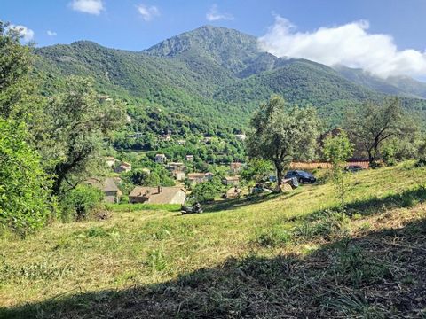 Sur les hauteurs du village de Tavera, ce terrain d'environ 1270 m2 bénéficie d'une très belle exposition Sud garantissant un ensoleillement optimal. Sa vue dégagée sur la montagne,et son environnement très calme en lisière de forêt séduiront les amo...