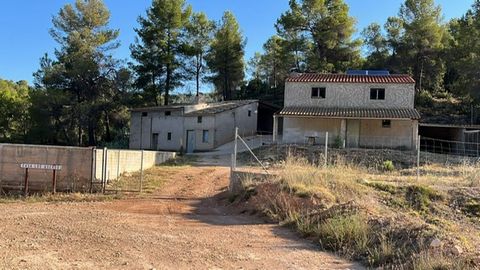 Hugh finca op het platteland van Jalance Deze finca is goed onderhouden en heeft een grote variëteit aan bomen Er zijn 2 huizen die kunnen worden hervormd waterput Deze locatie zou ideaal zijn voor iedereen die een casa rural begint Het ligt dicht bi...