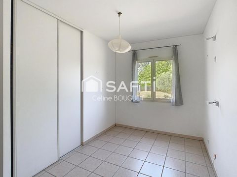 photo no. 16