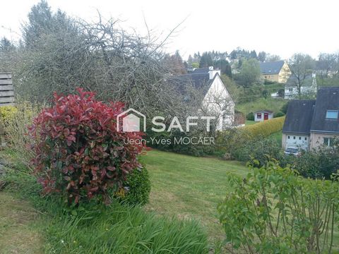 photo no. 11