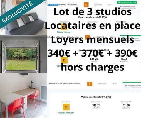 Lot de 3 studios