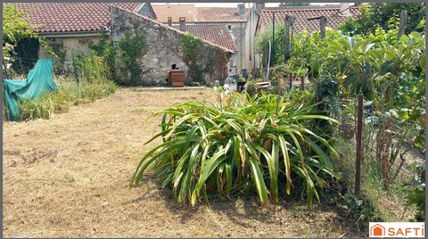 photo no. 13