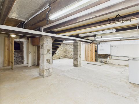 photo no. 11