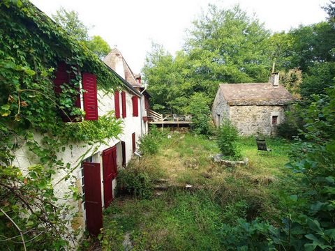 photo no. 15