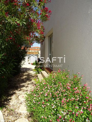 photo no. 8