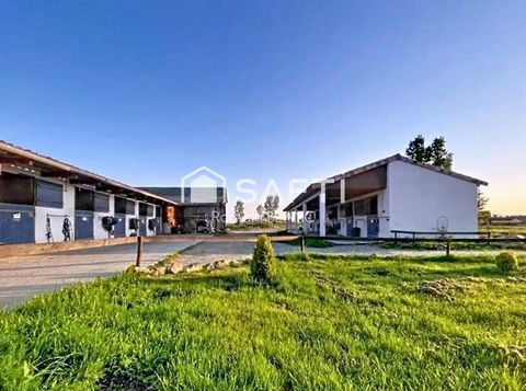 Maison 3 pièces avec centre équestre sur 7ha