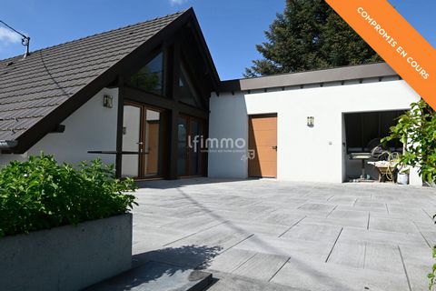 photo no. 3