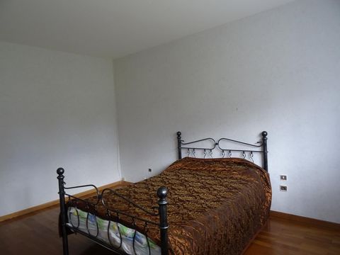 photo no. 6