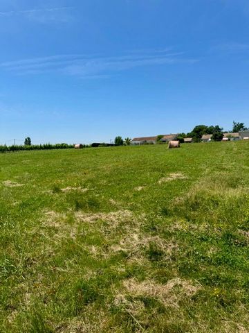 RARE SUR LE SECTEUR