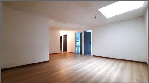photo no. 11