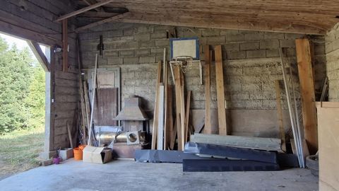 photo no. 13