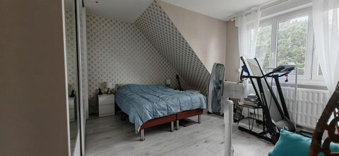 photo no. 11