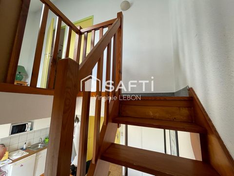 photo no. 8