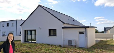 photo no. 12