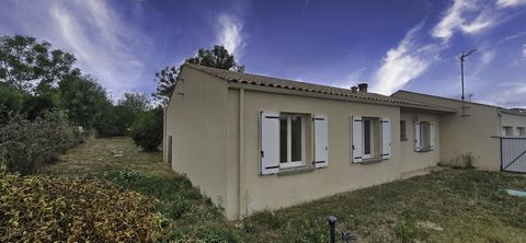 photo no. 15