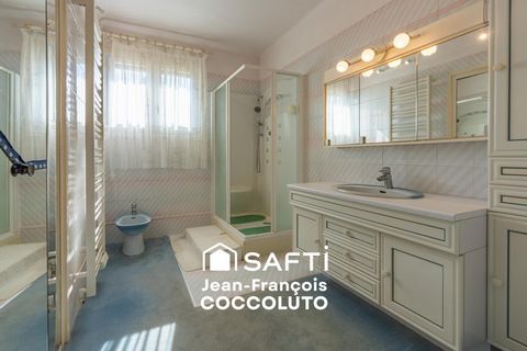 photo no. 11