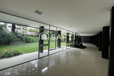 photo no. 10