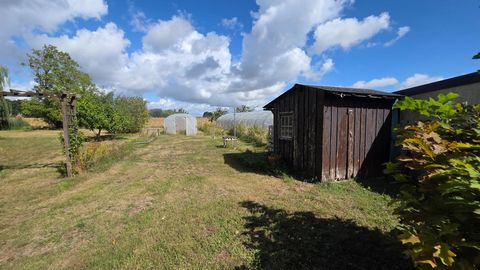 photo no. 13