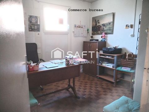 photo no. 15