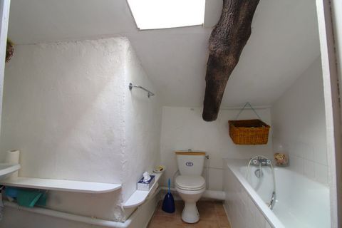 photo no. 13