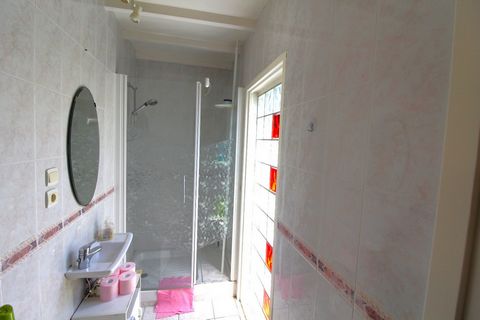 photo no. 13