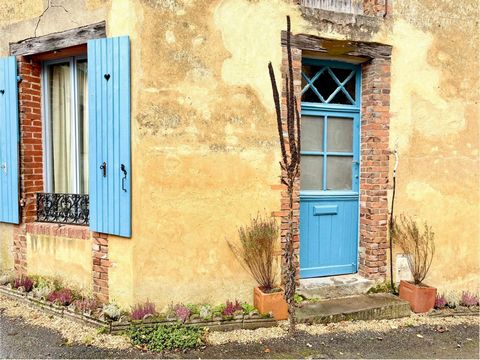 photo no. 11